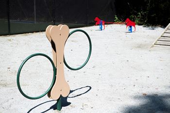 Pet park equipment 